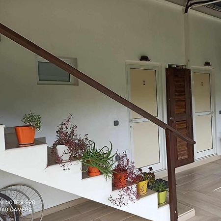 La Maison Du Voyage Tevaitoa Dış mekan fotoğraf